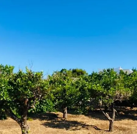 - Traditional House Dom wakacyjny *