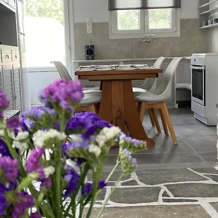 Dom wakacyjny - Traditional House