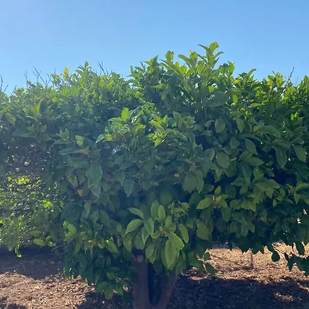 Ferienhaus - Traditional House