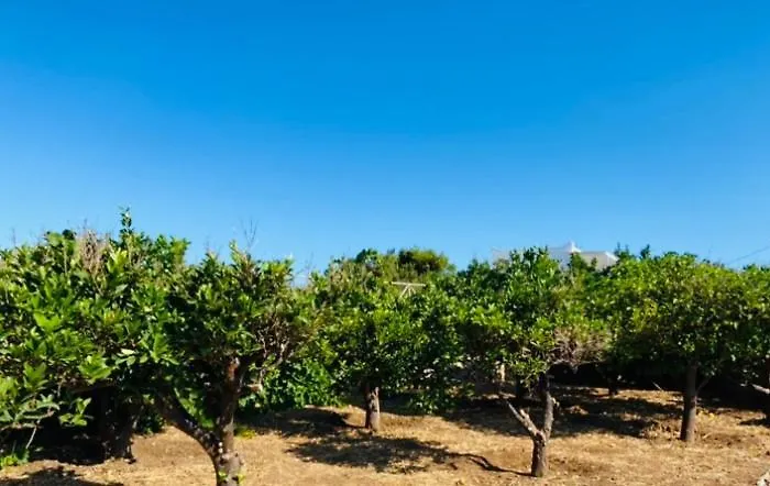 - Traditional House Holiday home *