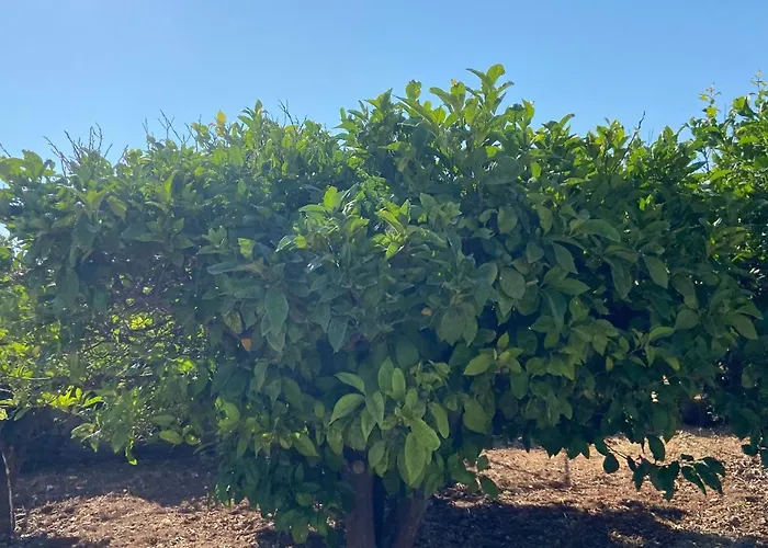 Holiday home - Traditional House